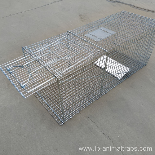 Foldable Automatic Rodent Squirrel Cage For Sale